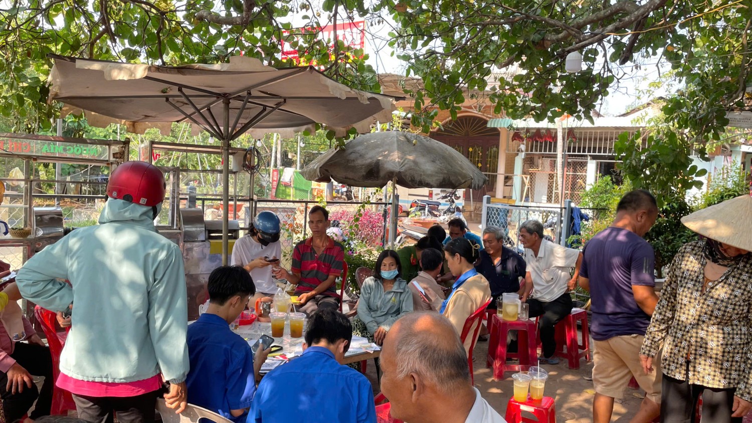 MINH TÂM: HƠN 250 TÀI KHOẢN VNeID ĐƯỢC TÍCH HỢP GIẤY TỜ THÀNH CÔNG TRONG ĐỢT RA QUÂN NGÀY CHỦ NHẬT